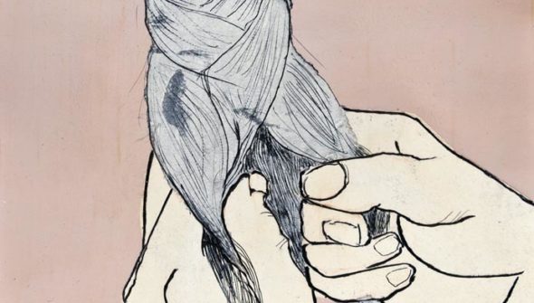 keine Federn füg' ich bei (Zopf)