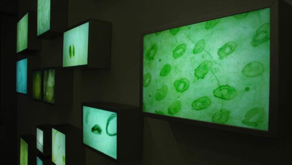 "Im Gras, das steigt von Tag zu Tag"