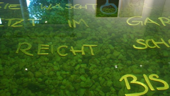 Rapunzel (Ausschnitt)