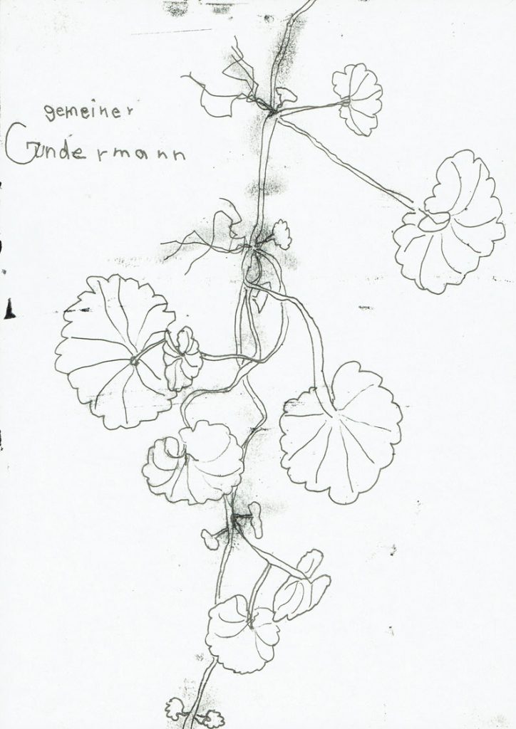 Gräben umspringen (Gundermann)