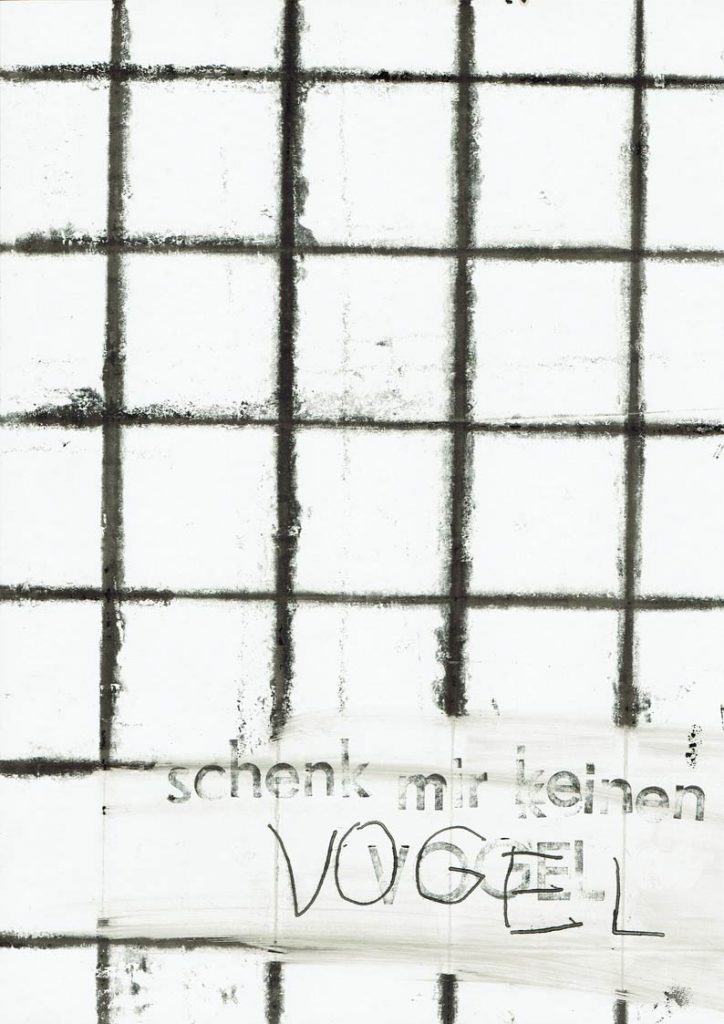 Gräben umspringen (VogelGitter)