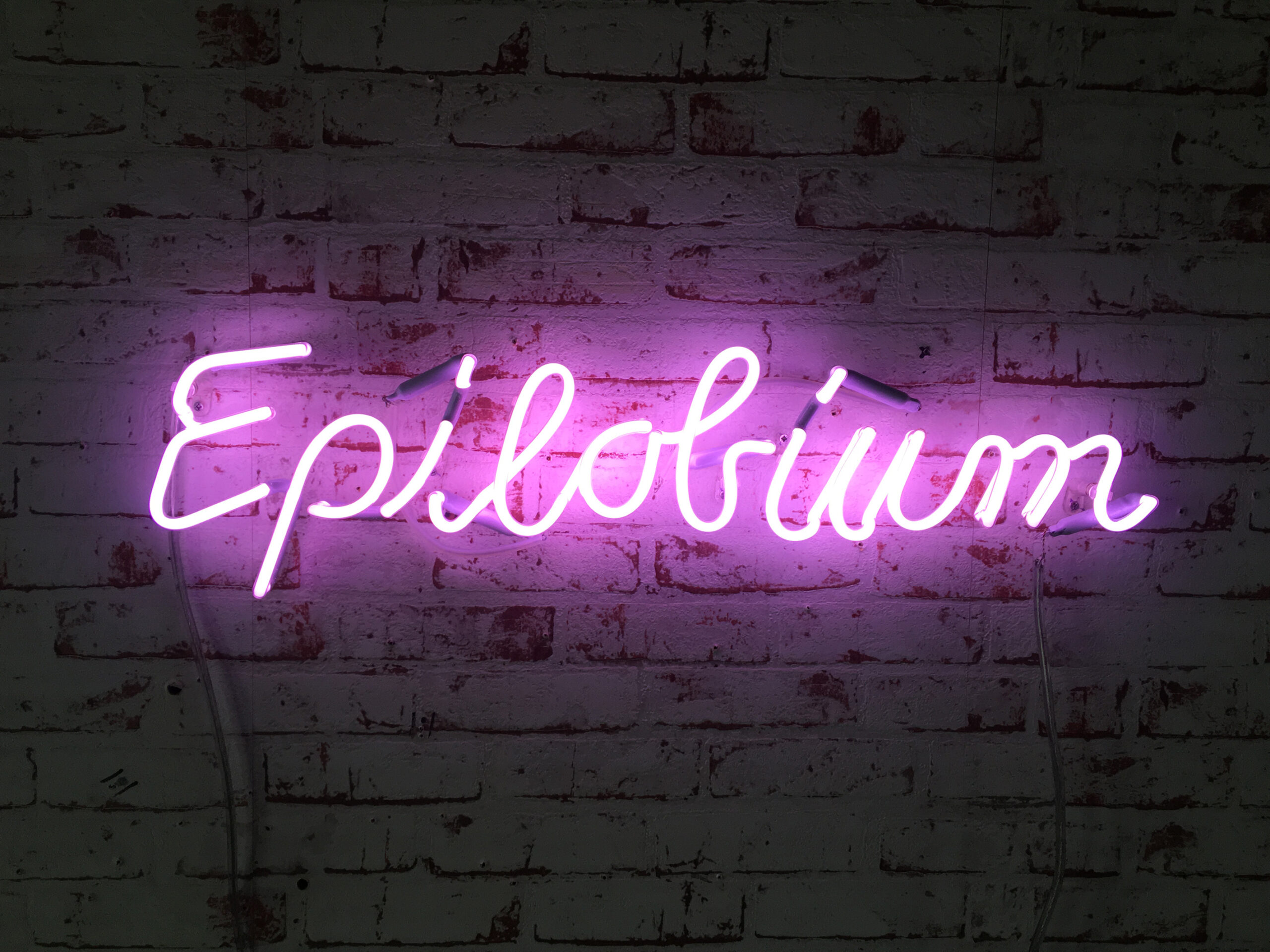 1_SIEGMUND_epilobium_20x70_2021 2